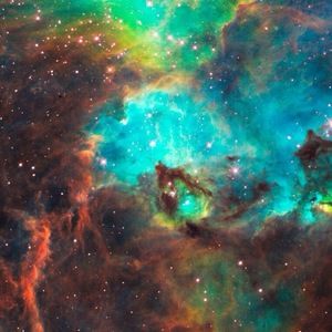 Meet your Posher, Esmeralda